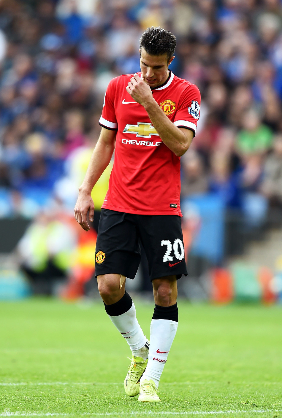 巴媒：因博塔弗戈解雇体能教练，达维德·安切洛蒂决定离任（巴媒：博塔弗戈解雇体能教练后，达维德·安切洛蒂决定辞职）